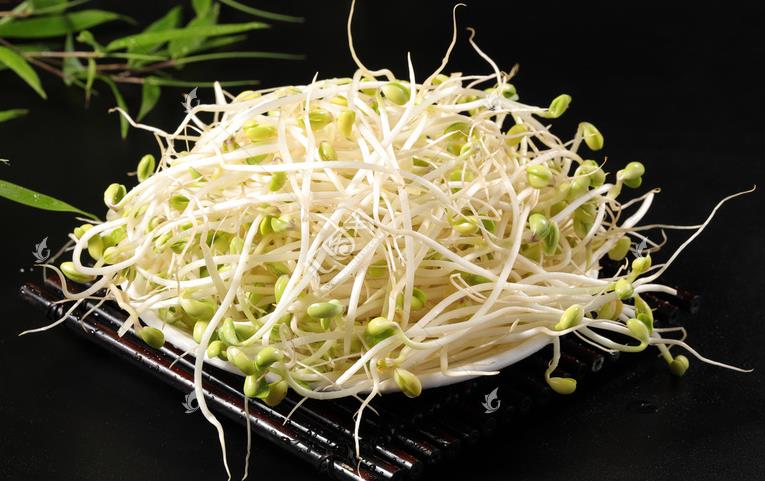 無公害綠色豆芽，怎么生產(chǎn)出來的？全套生產(chǎn)過程如此方便智能